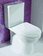 Adelaide Cube 270 Dual Flush