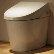 Neorest 550 Dual Flush
